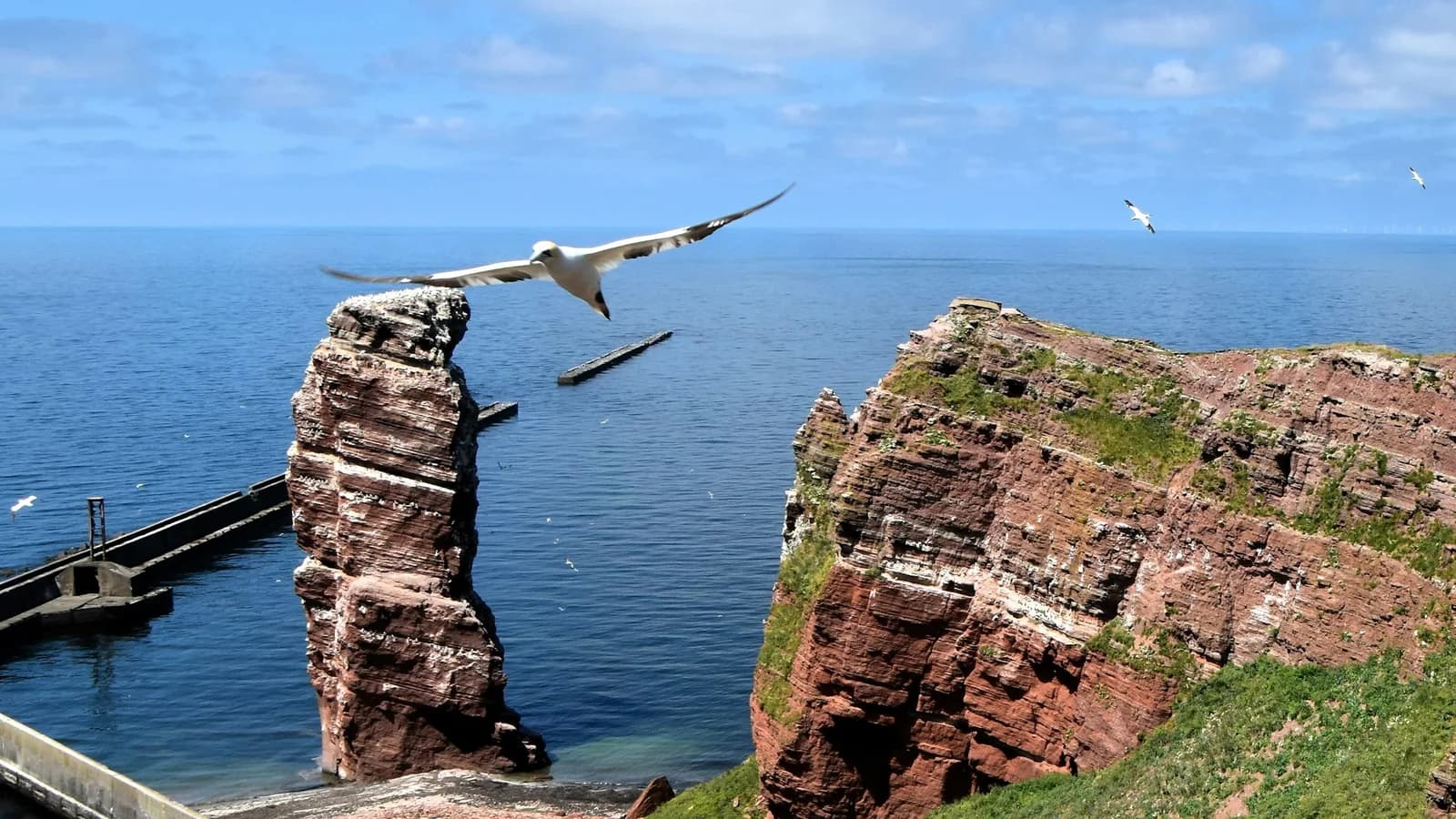 Roter Felsturm und Buntsandsteinklippe im Meer, Seevögel im Anflug