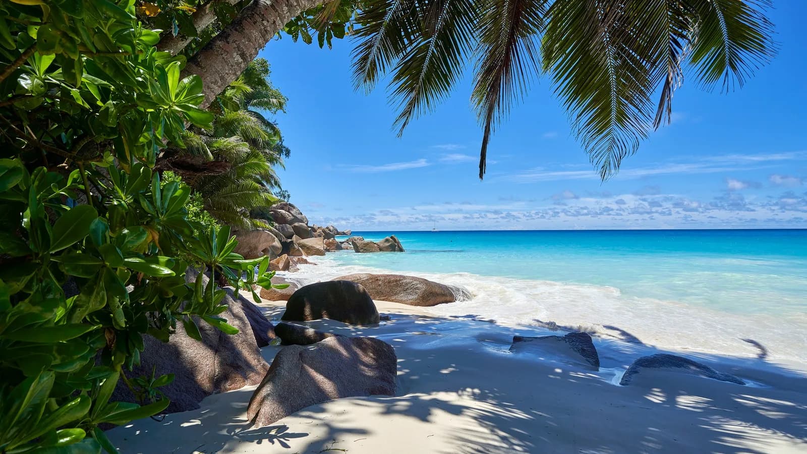 Granitfelsen und Palmen an einem weissen Strand mit türkisem Wasser
